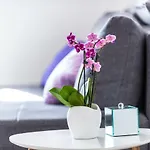 Apartamento Nika