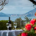Nika Cavtat