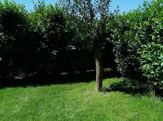 Διαμέρισμα Nika